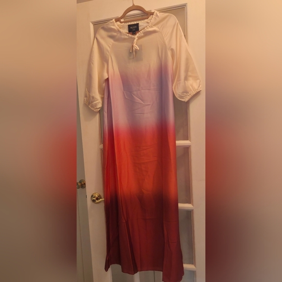 Aleeza Elegant Ombre Sheva Maxi Dress in Cream, Pink, Purple, Orange, And Rust - Picture 7 of 10